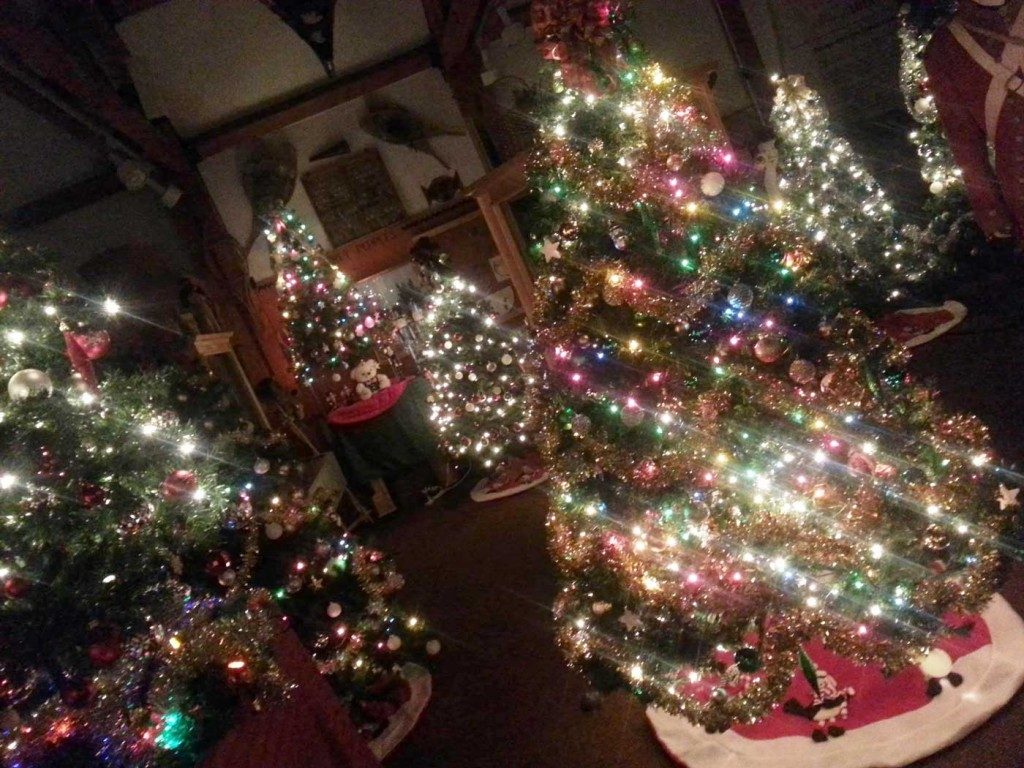 Christmas  'Forest of Trees' December 2015
